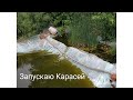 Запускаю Карасей.В огороде пруд  из пленки .