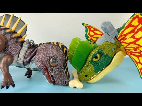 Unboxing and Review: Spinosaurus Crocodile Dinosaur and 1-Meter Dilophosaurus Crested Dinosaur 20...