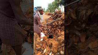 How coconut rope is made 🤔 #shortvideo #rope #coconut #factory #making