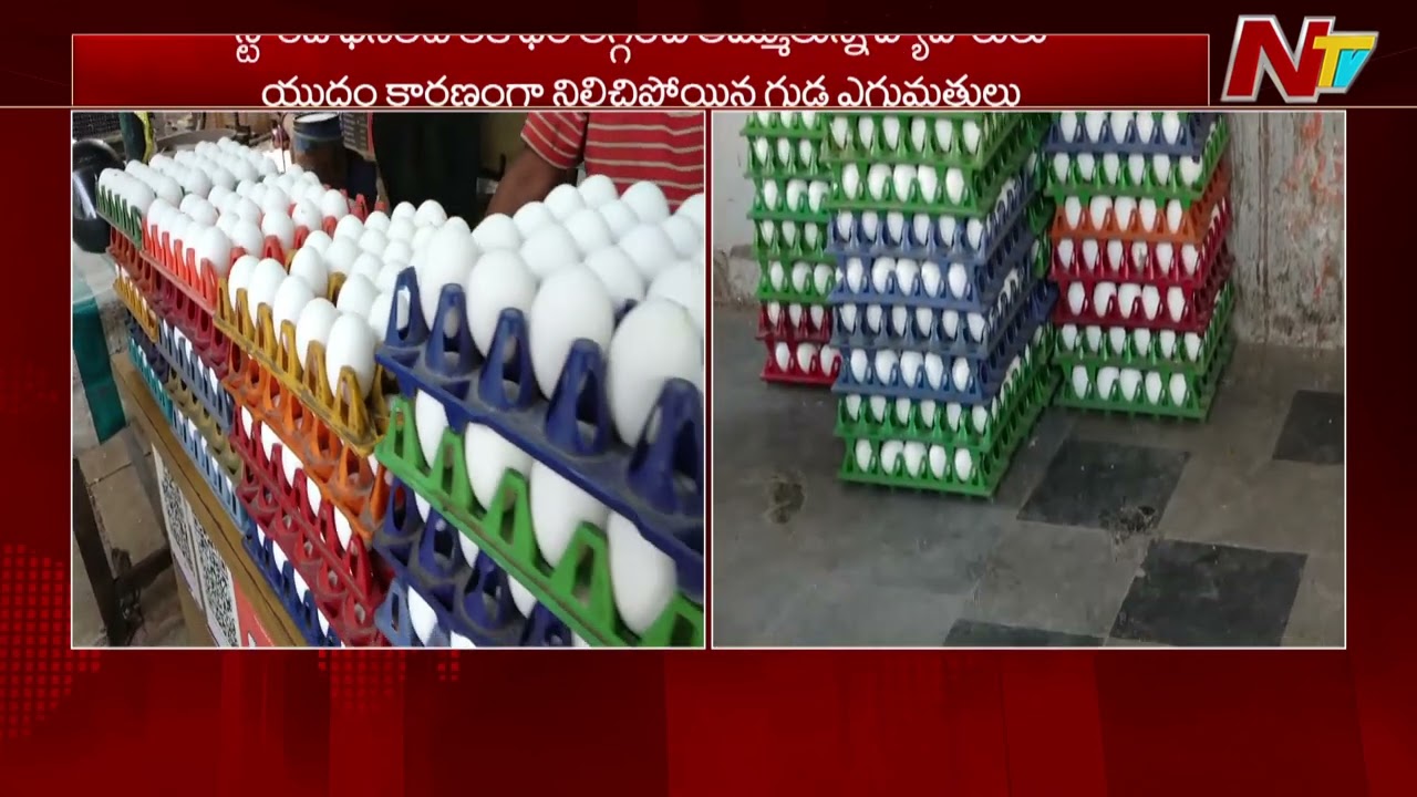 Egg Prices: యుద్ధం ఎఫెక్ట్.. పడిపోయిన కోడిగుడ్ల ధరలు | Hyderabad | Special Report | NTV Telugu