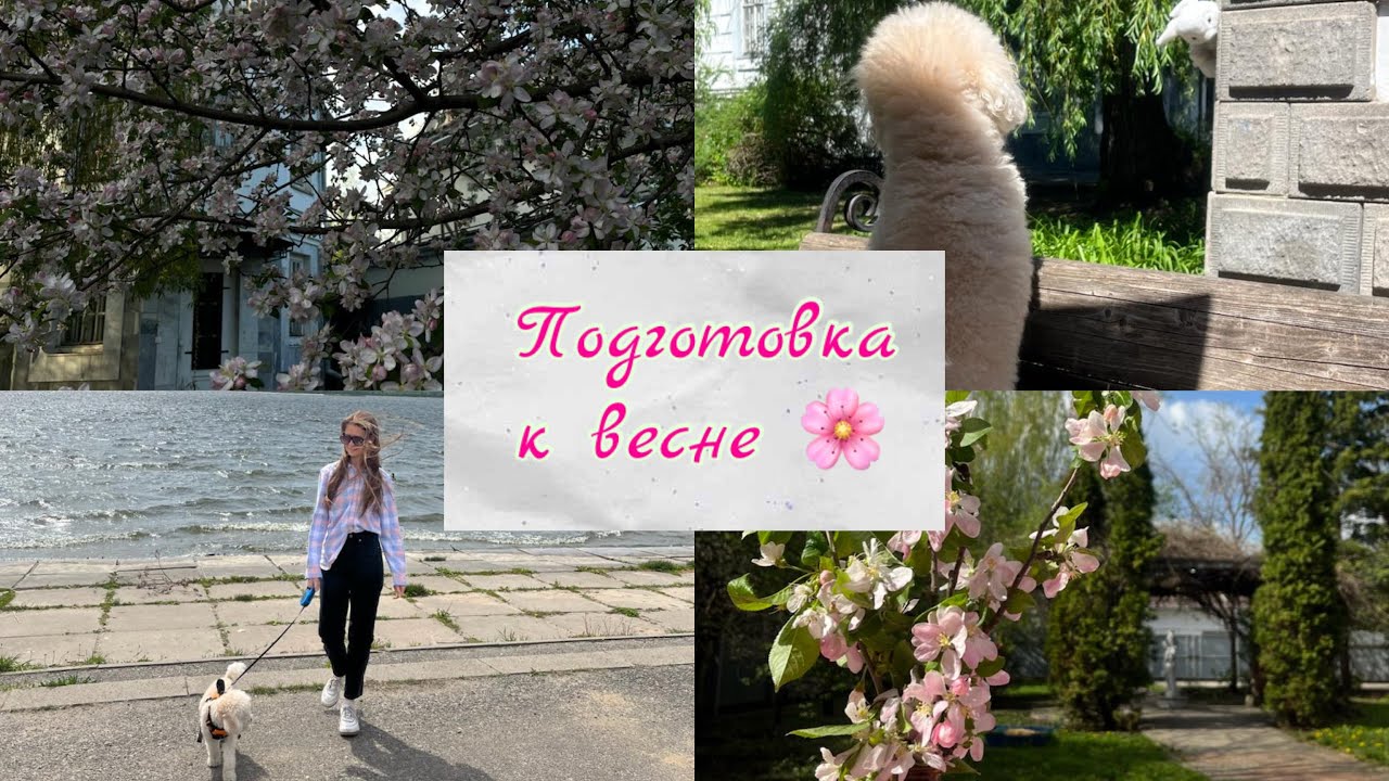 Подготовка к весне / Советы для удачного окончания зимы 