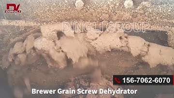 Beer Spent Grain Screw Dehydrator
