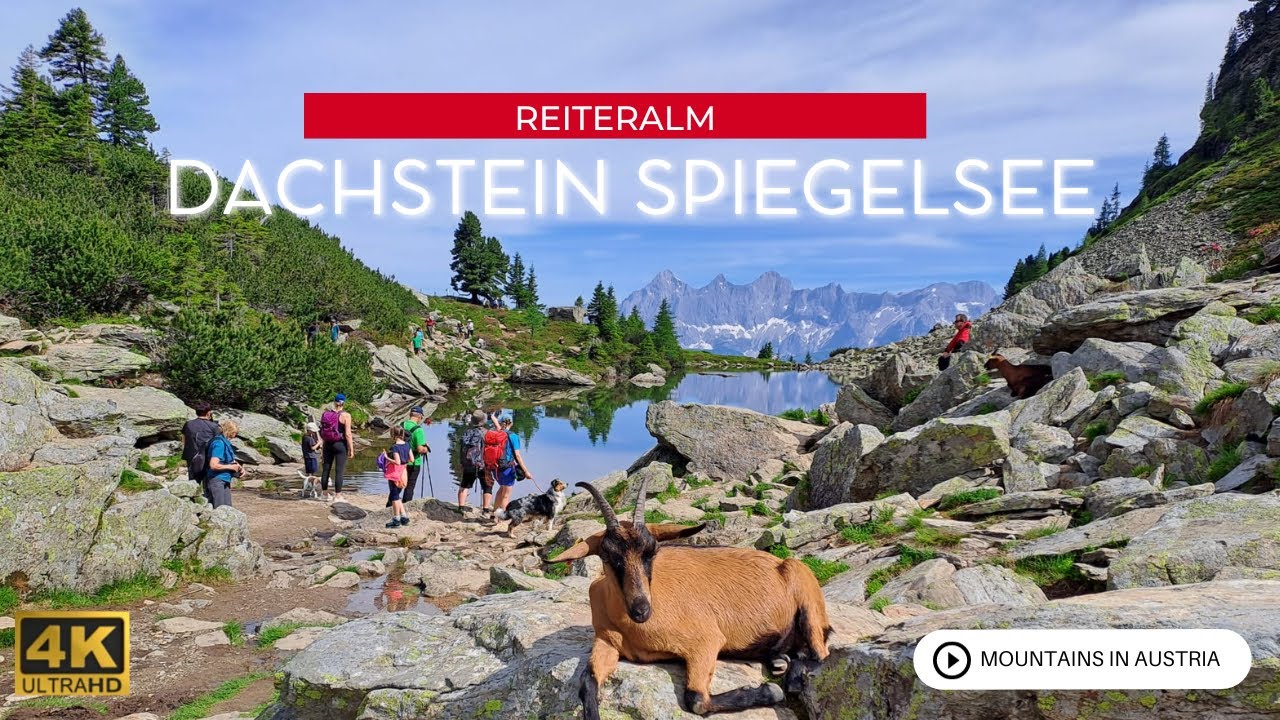 Spiegelsee Dachstein 🐐 Popular Tourist Attraction in the Mountains 