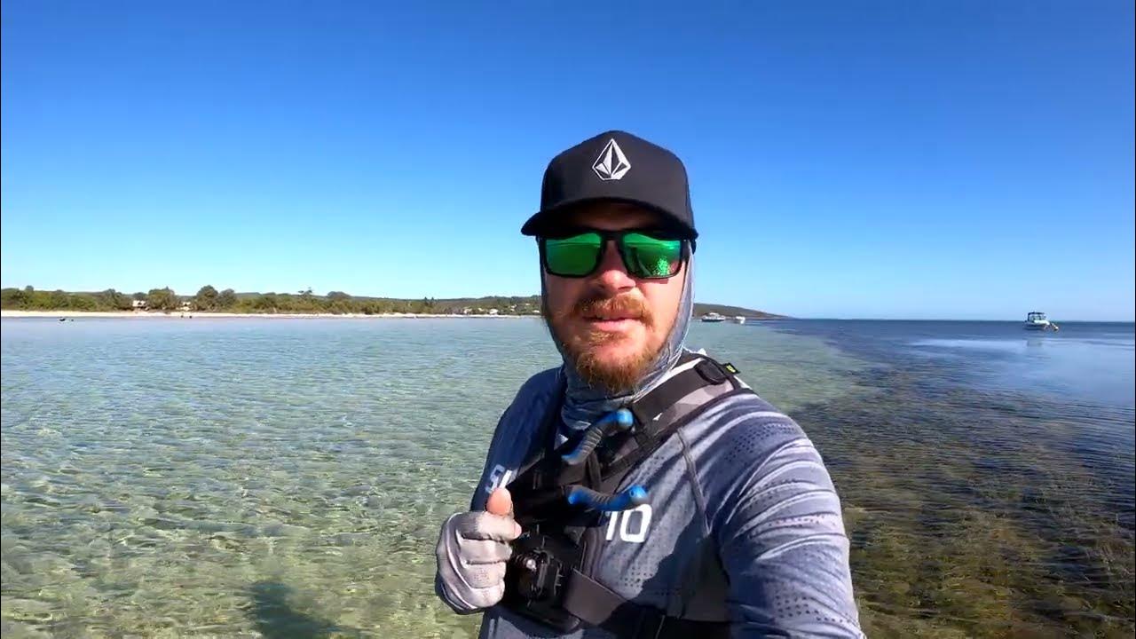 WHITING on SOFT PLASTICS YouTube