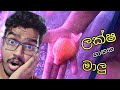 බඩ ගෙඩියො ටික තමා මරු 😋 පොඩි කරන්න හිතෙනෙවා..