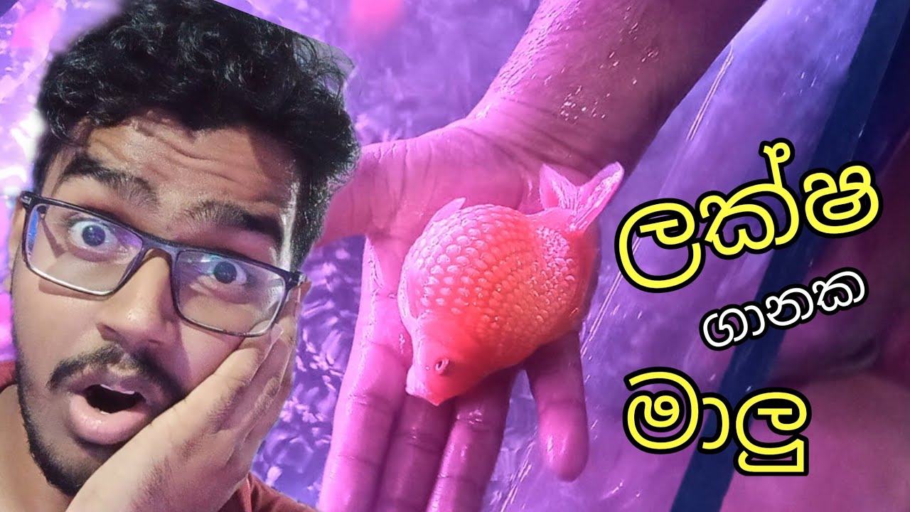 බඩ ගෙඩියො ටික තමා මරු 😋 පොඩි කරන්න හිතෙනෙවා..