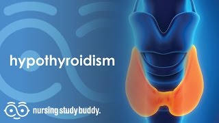 Nursing Care: Hypothyroidism (Part 1) - Nursing Study Buddy Video Library