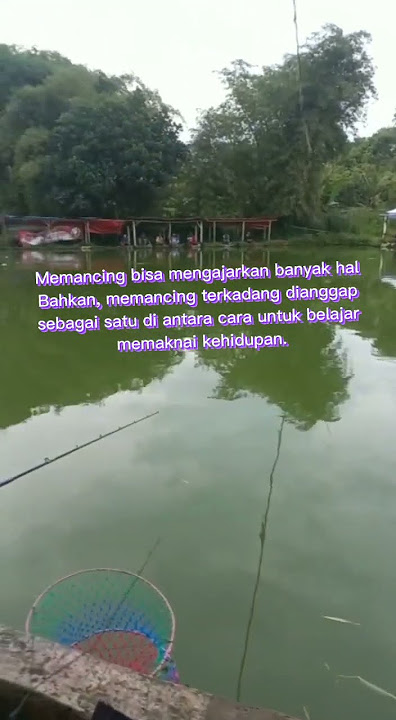 KATA KATA BIJAK PEMANCING, HIDUP MANCING #mancing #ikanmas #hiburan #sabar