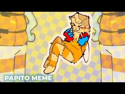 Papito meme |