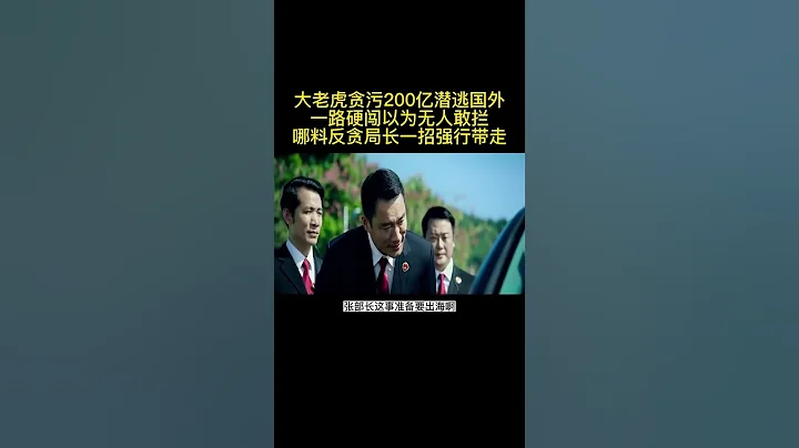 《反贪风暴3》大老虎潜逃国外以为没人敢栏哪料局长一招强行带走 - 天天要闻