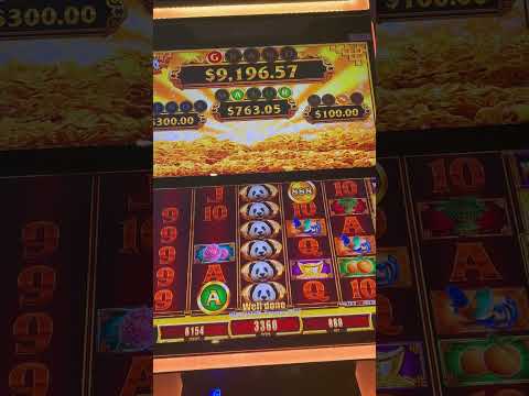 Nuestra primera rueda de casino básico en Sala Havana Sevilla