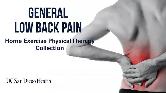 7 Exercises for Lower Back Pain Relief - Dr. Nael Shanti