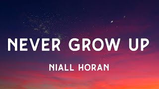 Niall Horan - Never Grow Up (Lyrics)