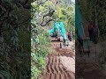 Excavator Working on Mountain | Excavator Planet