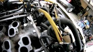 1QUICK6 NITROUS BACKFIRE