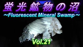 蛍光鉱物の沼 ～Fluorescent Minerals～ Vol.21【ミネラルフェスタ編】