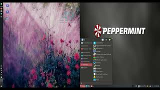 MX Linux 21 (XFCE) vs Peppermint OS 2022 (XFCE): RAM Usage