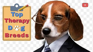 Top 14 Therapy Dogs for Seniors & Others_Caleb's Story of hope and healing by Simple Dog Facts 1,142 views 1 year ago 12 minutes, 29 seconds