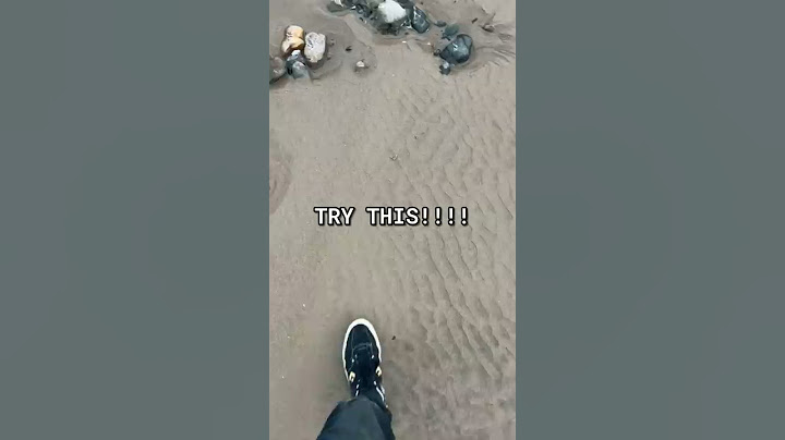 How to Find REAL Fossils at the Beach EASY! #shorts