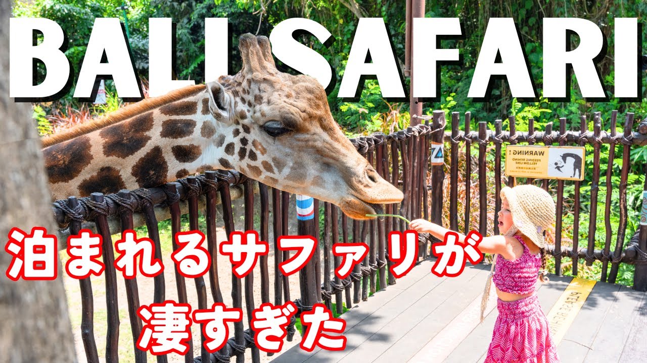 東南アジア唯一の泊まれるサファリ！！子連れで泊まるバリサファリが想像以上だった！