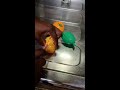 CRUNCHY FRUITS ASMR