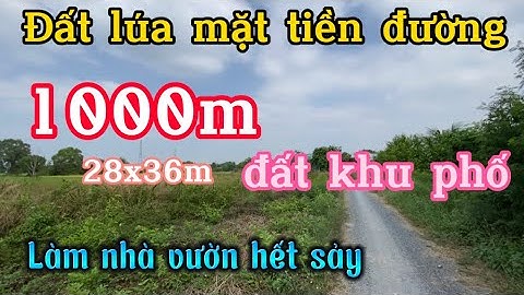 Đất Cần Giuộc Giá Rẻ| 1000m vuông đất lúa thị trấn mặt tiền đường khu vực chuyển thổ.