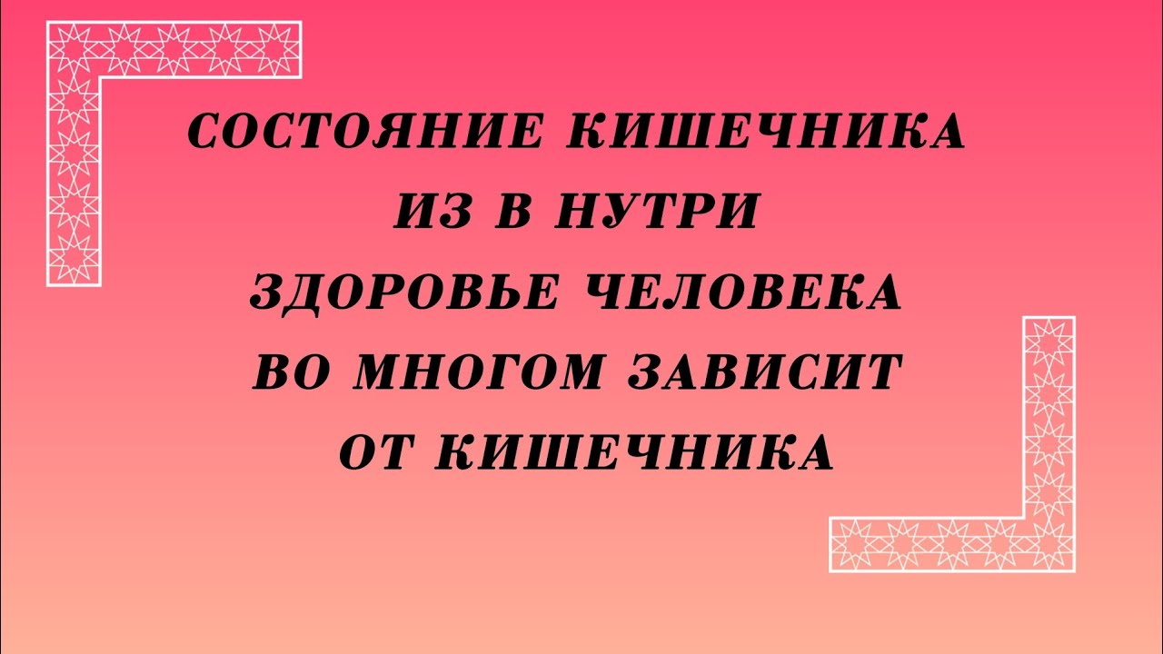 Состояние кишечника из в нутрии. кишечник 2 мозг человека. #ютуб # ...