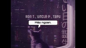 Mèo Ngoan - RonT x UncleP x Tapu | Video Lyrics