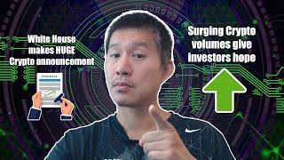White House makes HUGE Crypto Announcement. Surging Crypto Volumes bring hope