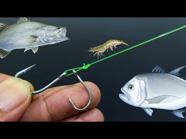 SPECIAL FISHING RIGS FOR LIVE BAIT 