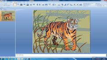 Tiger animation in powerpoint