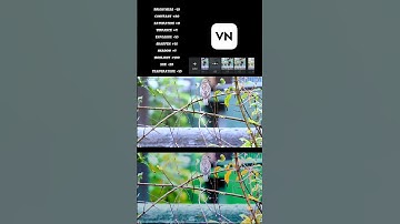 Vn Colour Grading Tutorial#vn#shorts