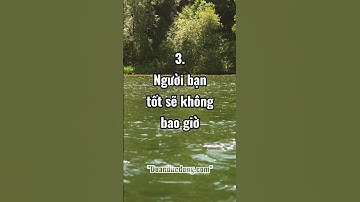 Cách nhìn người luôn đúng #shorts  #doanducdong