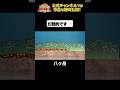 日テレ公式【仮装大賞】八ヶ岳 #shorts
