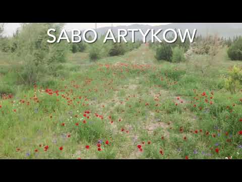 Sabo Artykov Obadashym