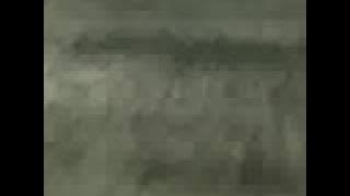 Goose - Black Gloves