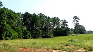 Full Homes for Sale - Lt1,Blk2 Loblolly Lane Henderson TX 75654 - Cecilia Koch Guide