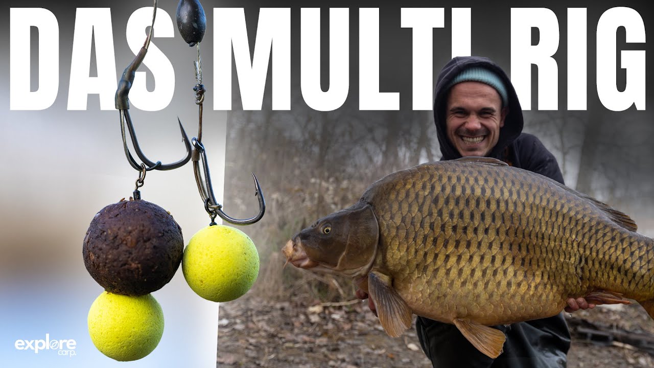 IST MEIN MULTI-RIG DAS BESTE DER WELT? 🥳 Karpfenangeln | Fox International | Rig's | Gewinnspiel