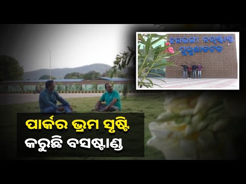 ବ୍ୟସ୍ତବହୁଳ ଜୀବନରୁ ଶାନ୍ତି ପାଇବା ପାଇଁ ଏଠାକୁ ଧାଇଁ ଆସନ୍ତି ଲୋକେ, ଘାସ ଗାଲିଚାରେ ବସି ନିଅନ୍ତି ପବନର ମଜା
