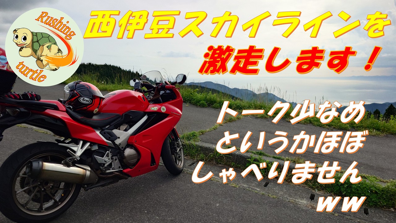 226 「西伊豆スカイラインをひたすら走る！」【VFR800F】【徒然なる