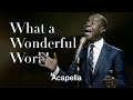 Louis Armstrong Sings What a Wonderful World Without Music - And It’s Amazing