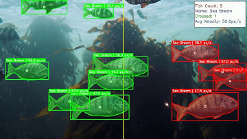 How Smart Fish Counting and Movement Tracking Boosts Your Fish Farm