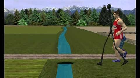 Dynamic obstacle avoidance for real-time character animation