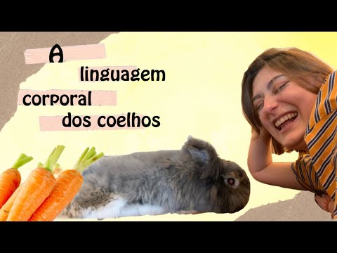 Vídeo: Como Fumar Um Coelho