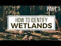 How to identify and avoid wetlands  part 1