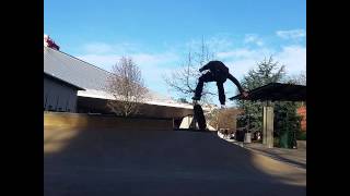 Aris Williams Nollie Daze