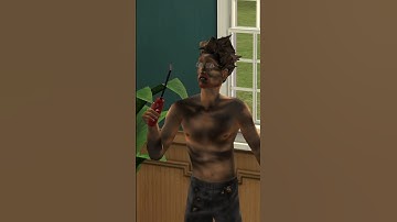 Nothing was safe in The Sims 2