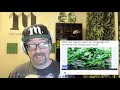 Cannabis News - Legalization Stumble in Ohio | Ep. 613 | 03-11-2020