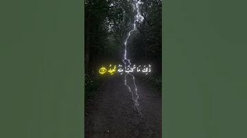 وجاءت سكرة الموت بالحق ياسر الدوسري Quran قرآن Fyp Explore 