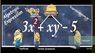 ALGEBRA 1 Labelling Algebraic ELEMENTS HD